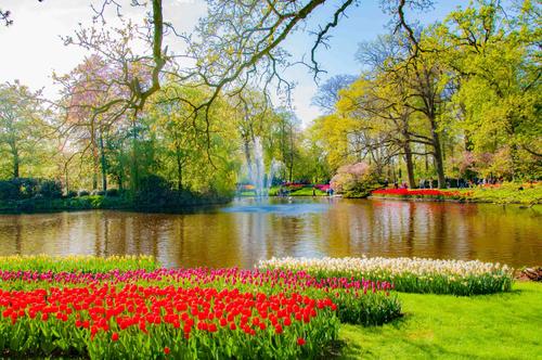 荷兰冷知识完整版,荷兰的30个冷知识您知道吗