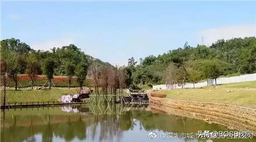 深圳未来新地标,深圳今年18个新地标