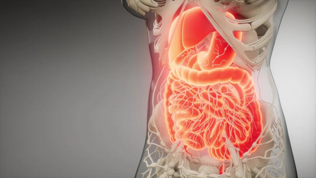 经常腹泻拉肚子当心这种奇怪的病,腹痛伴随拉肚子是什么原因