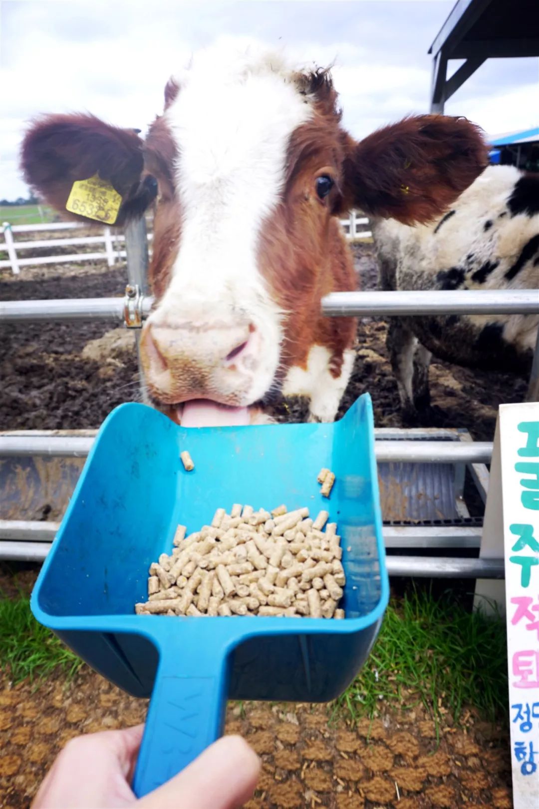 西安直飞1h,西安出发三日游冬季高铁