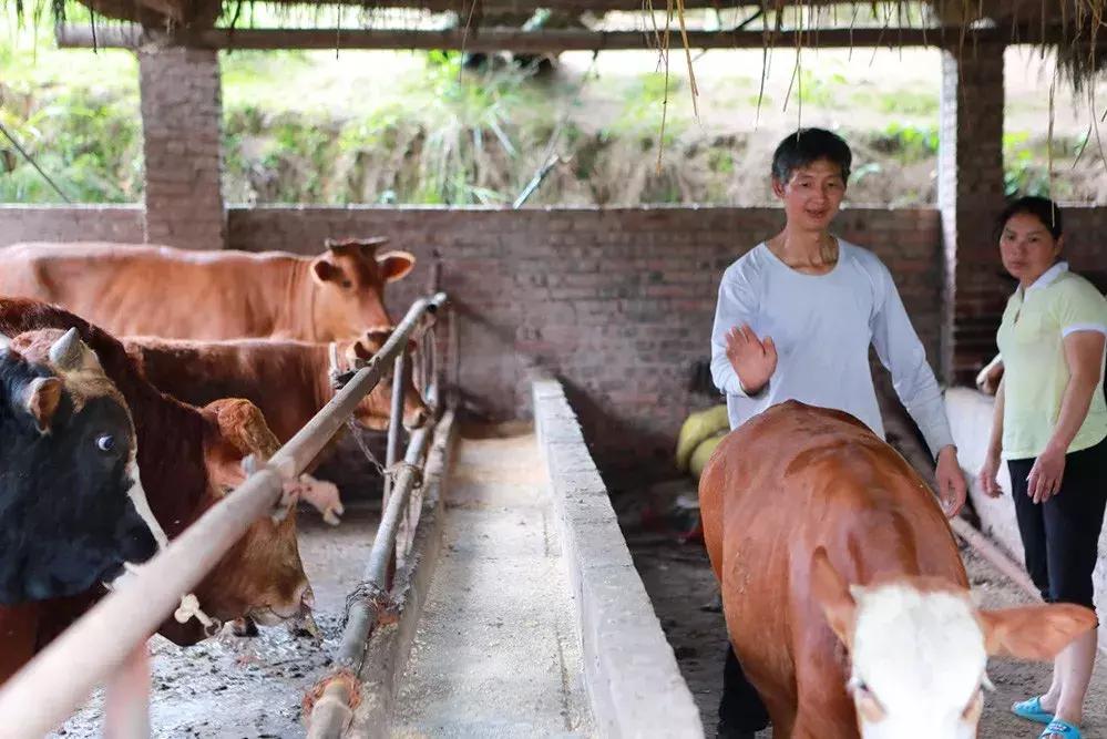 涓伴兘鍘夸埂鏉戞尟鍏寸殑鏂规硶,涓伴兘涔℃潙鎸叴