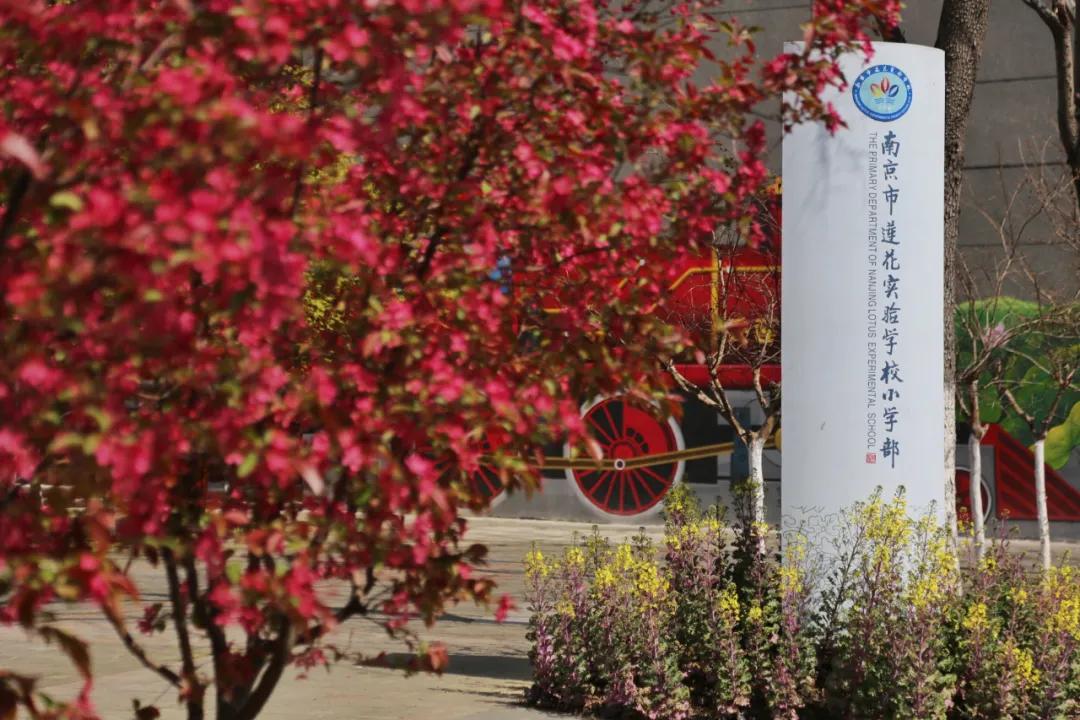 南京这所小学“弯道超车”，做了什么？