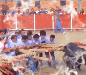 被牛角顶了是什么感觉,被牛角顶了是什么样