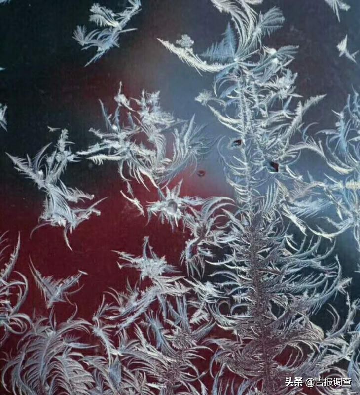 清晨玻璃窗上结满了霜花,唐古拉玻璃窗上的霜花