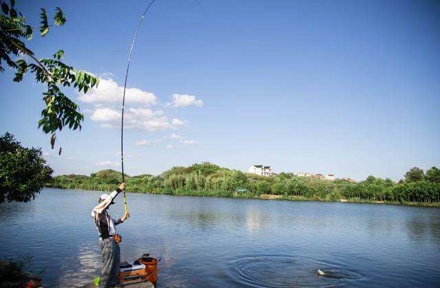 钓鱼高手用几米竿,钓鱼新手入门短竿
