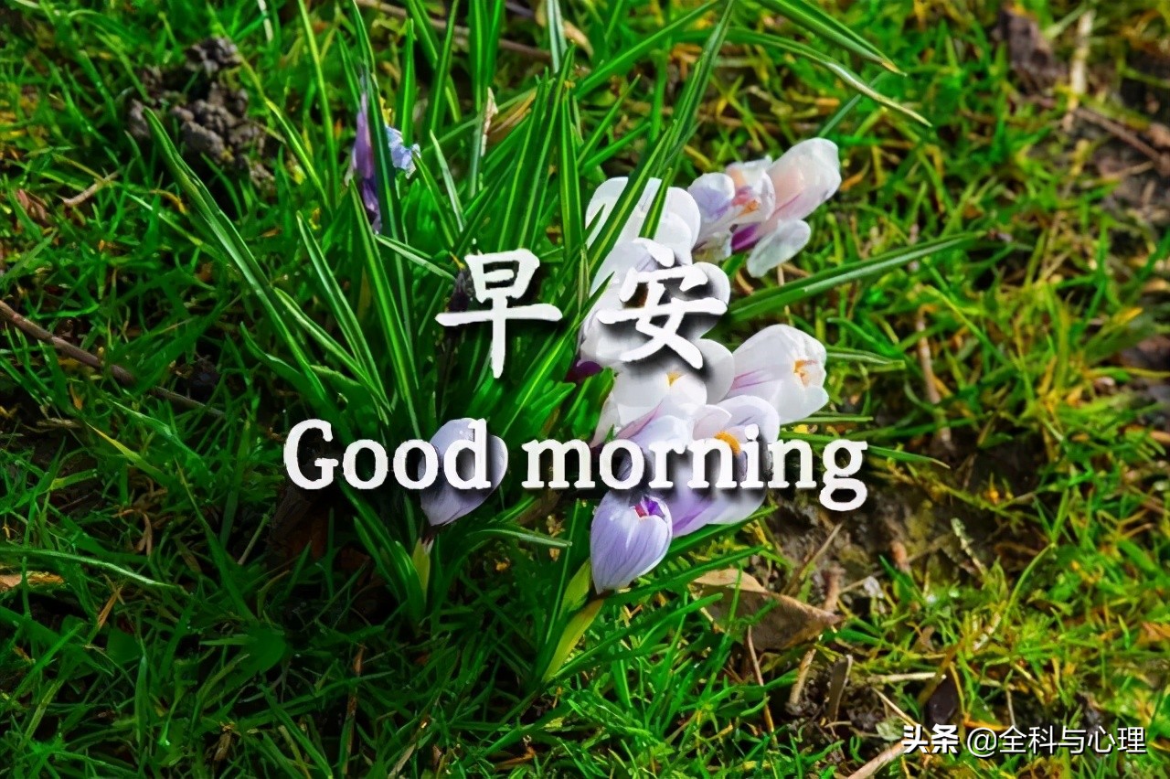 心静自然天地宽下一句,人生是一种态度