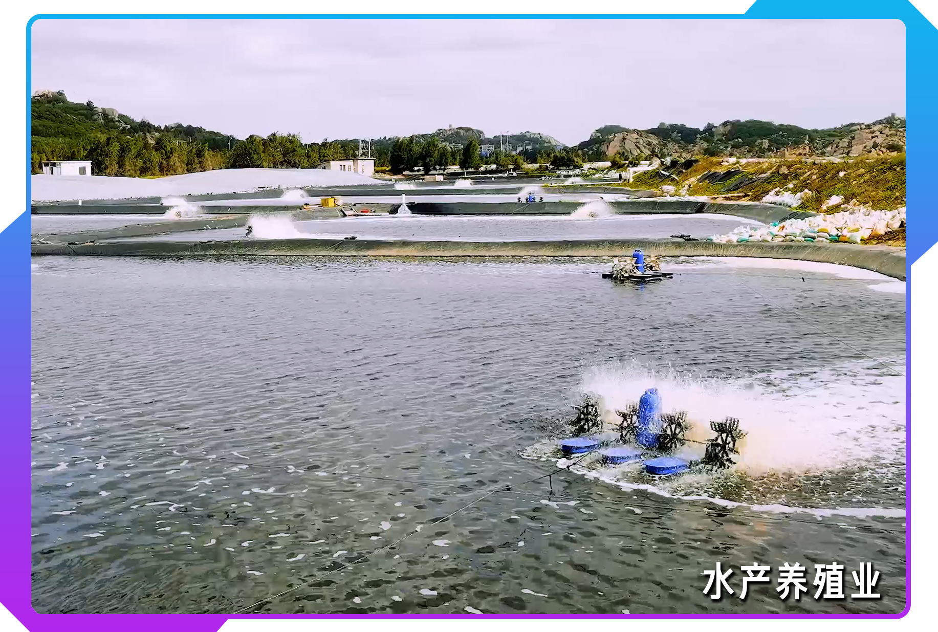 福清靠什么能发展起来,福清近年来的发展与变化