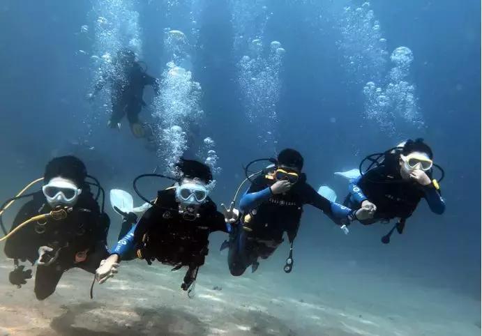 帕劳自由潜水完整视频,帕劳自由潜水玩法