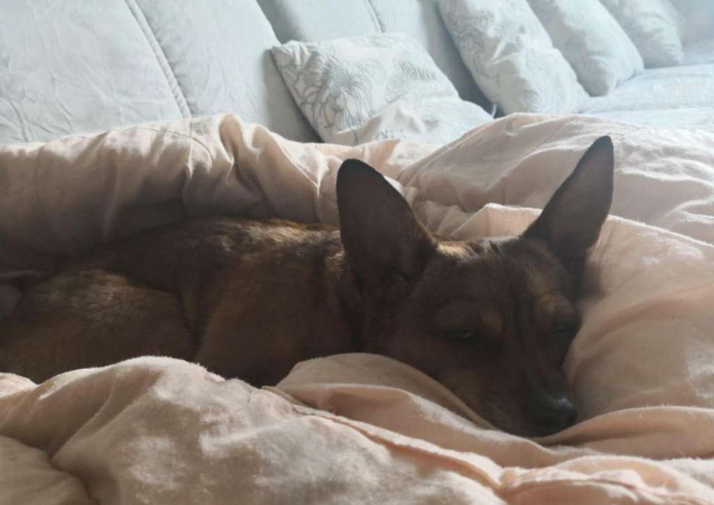 五一抽大奖活动,五一礼包抽奖