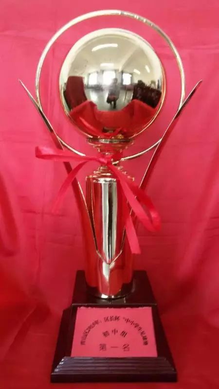 第十四届全运会足球第一名,二中足球队冠军