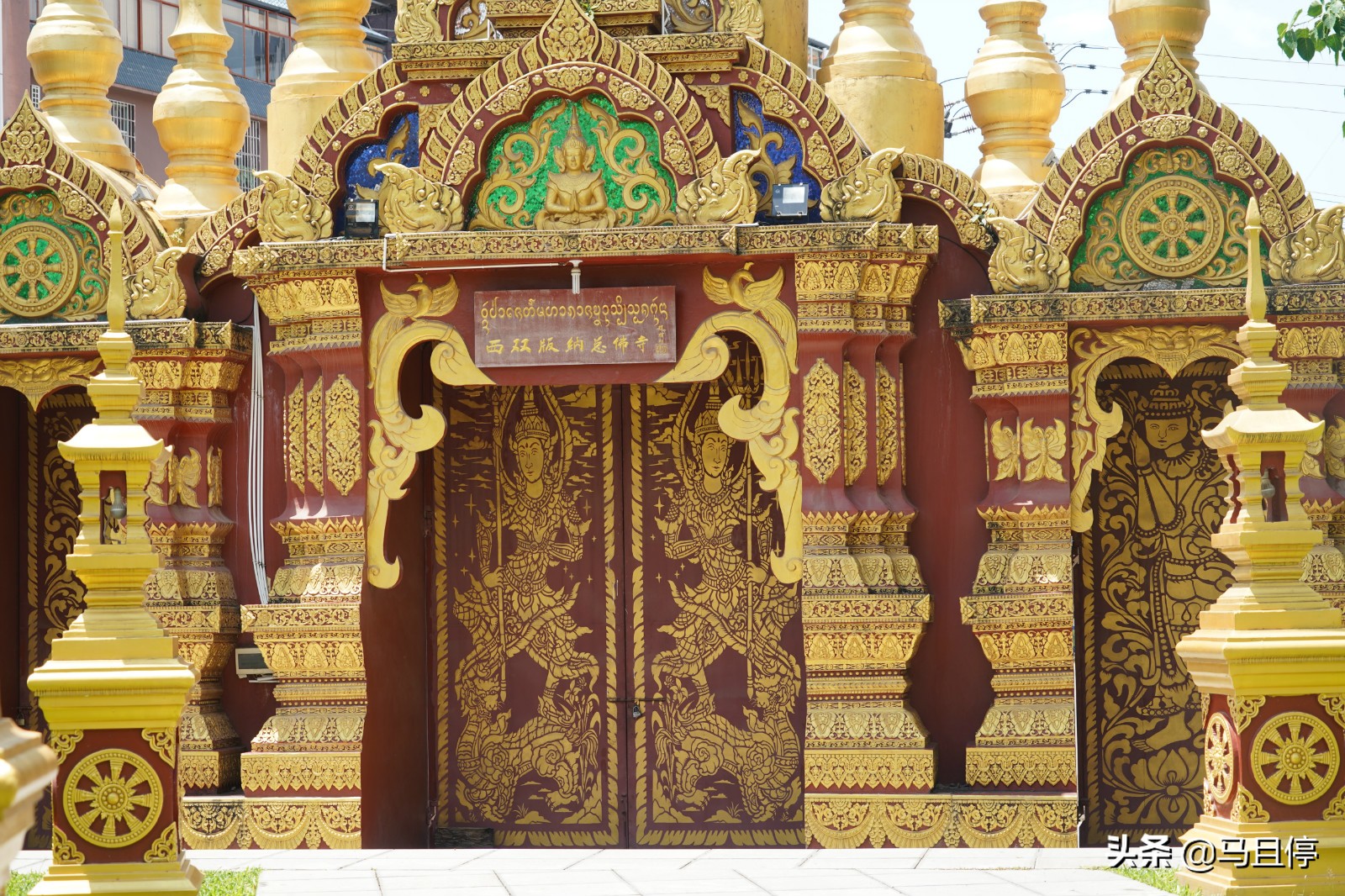 西双版纳看孔雀大象是哪个景点,西双版纳第一名景点