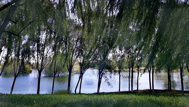 昌平哪个地方的公园最好,昌平区主要公园及景点