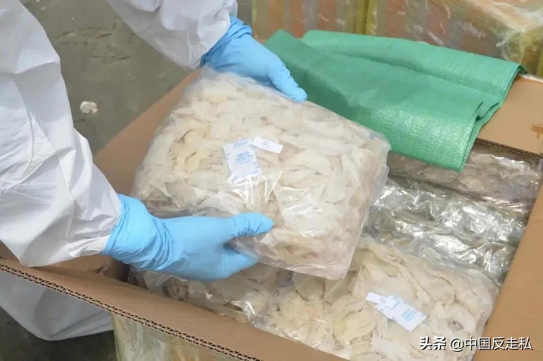 国门利剑2023,国门利剑打击汽车走私