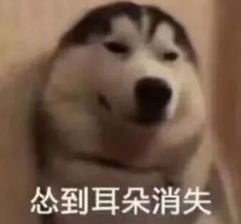 狗子绝育后的绝望,狗子绝育是不是就安稳了