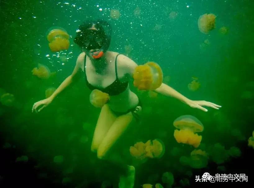 甯曞姵姘存瘝婀栫殑姘存瘝鍙互鎽稿悧,甯曞姵姘存瘝杩樿兘鎶撳悧