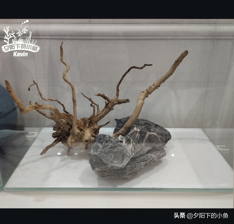 父子齐上阵全集,父子齐上阵完整视频