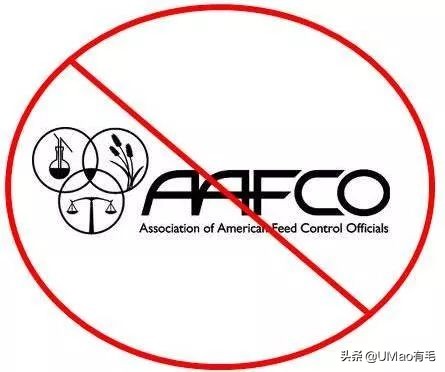 零食罐和主食罐吃哪个,主食罐零食罐