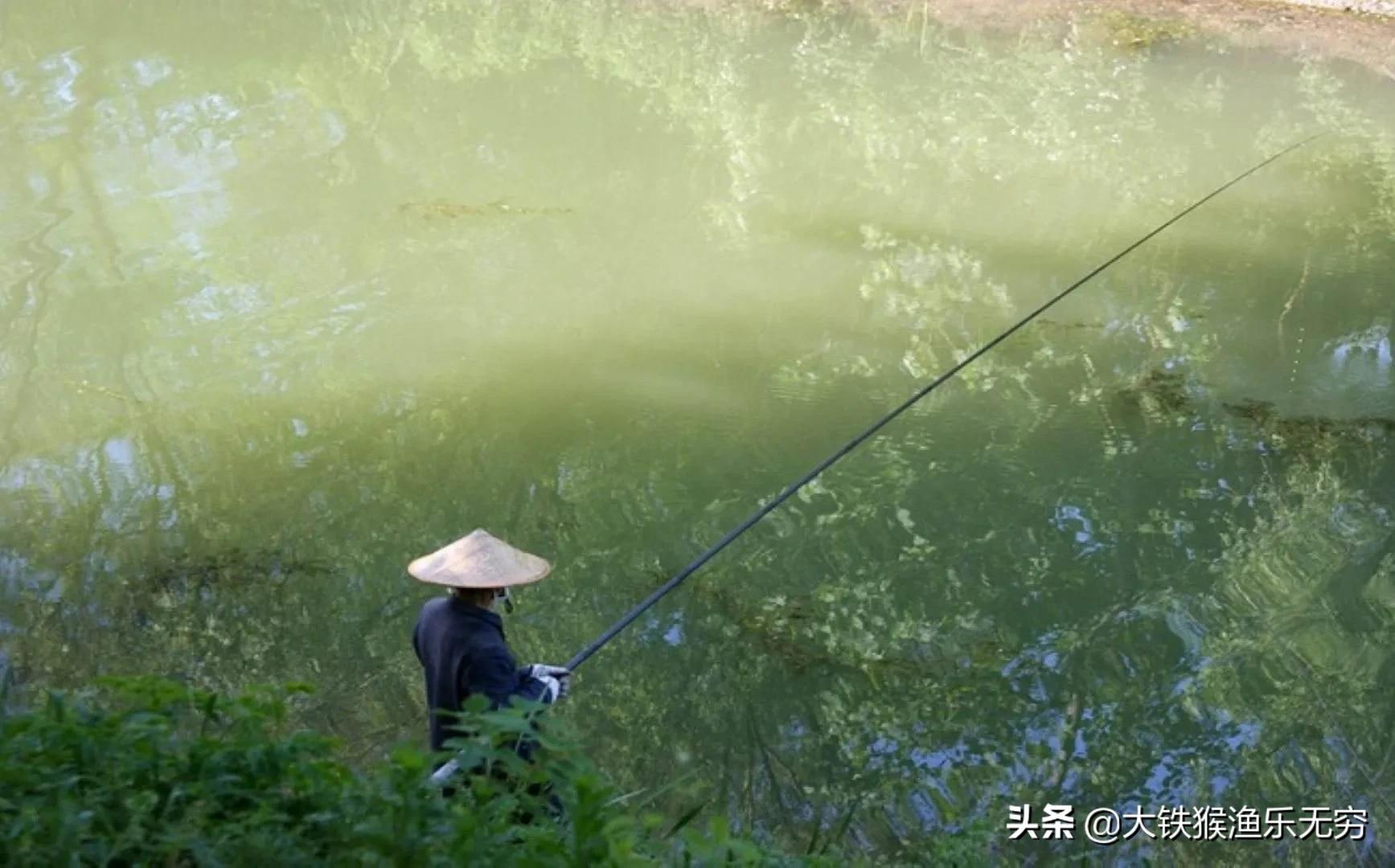 想成为万众瞩目的高手吗,想成为钓鱼大师难吗