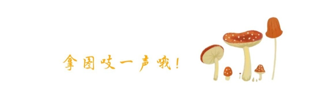 这都几点了表情包,表情包我已经回不去了