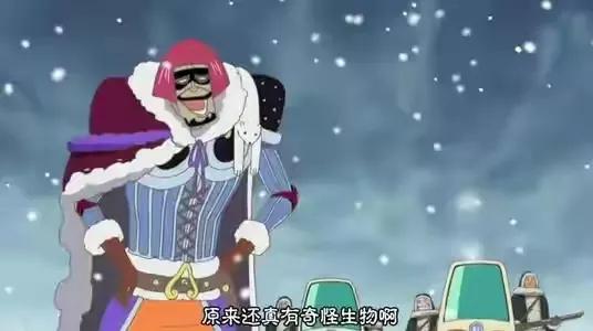 海贼王机械甲,海贼王里特殊的武器