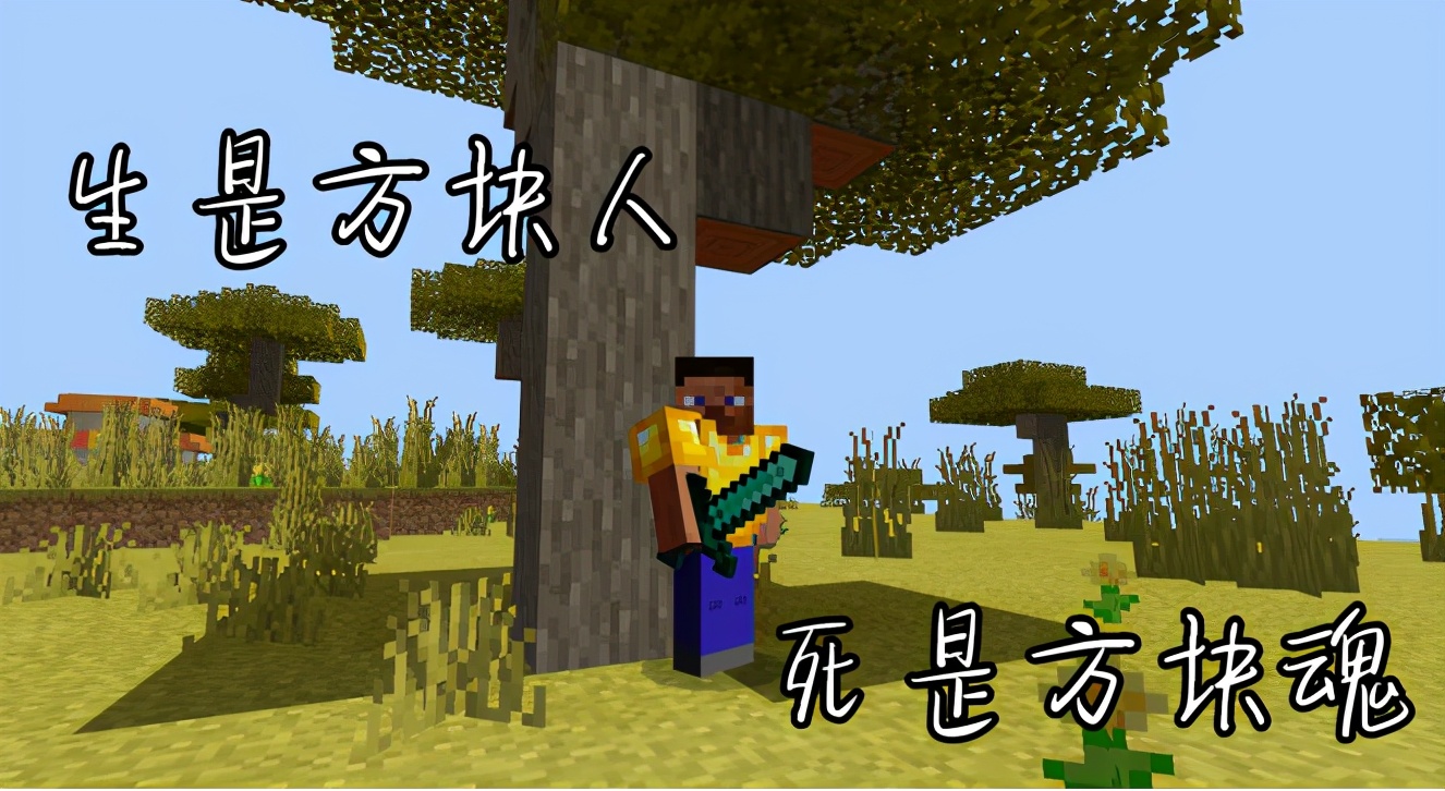 我的世界画质靠什么改变,我的世界画质真的看不懂