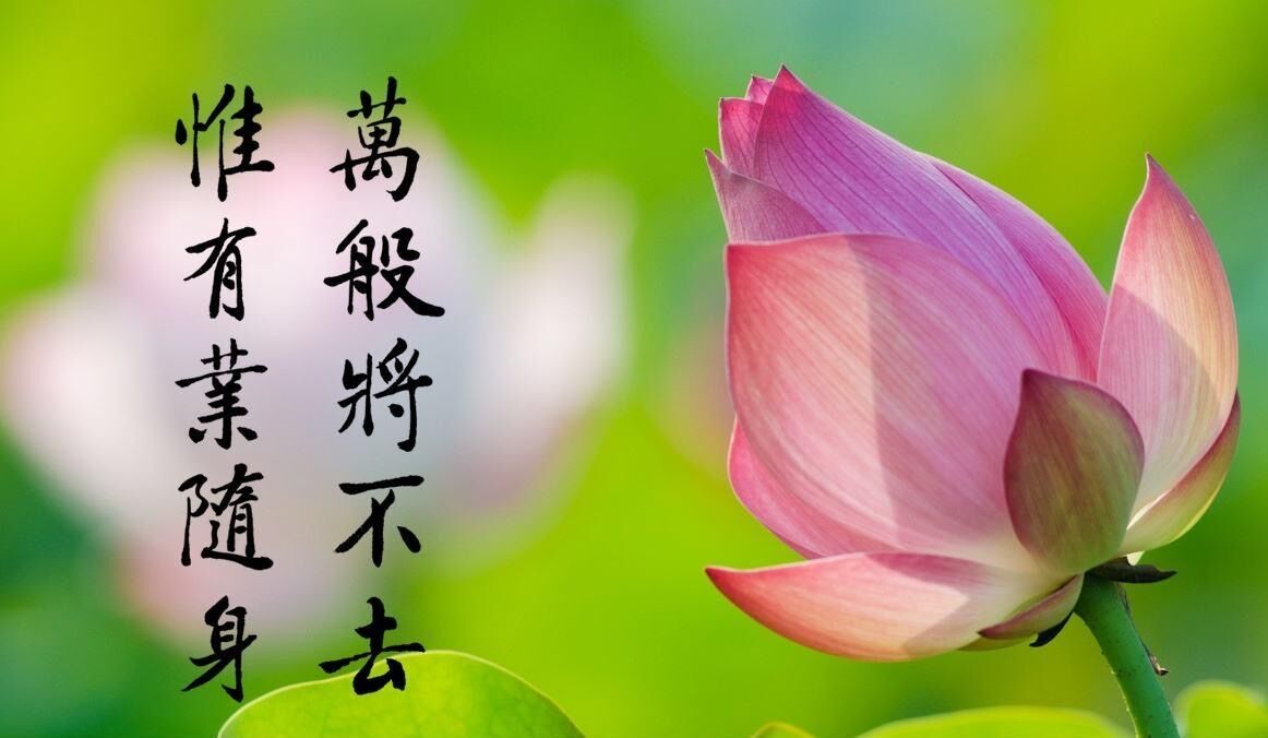 心中的神明,心中的神明作文