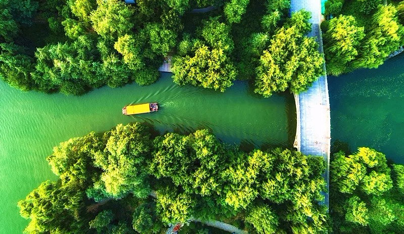 济南热门美食打卡地,济南美食团购打卡地