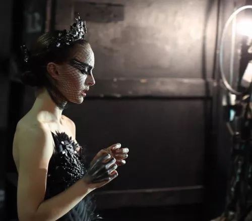 史上最漂亮的黑天鹅,全球最漂亮的一对黑天鹅