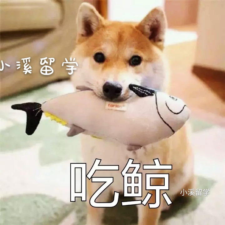 出国留学学历认证最新规定,出国留学回来学历不被认证