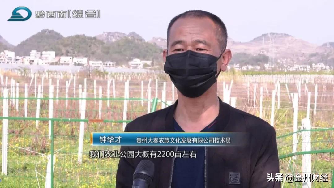 聚焦安全保供加强疫情用电管理,财税金融支持防疫保供