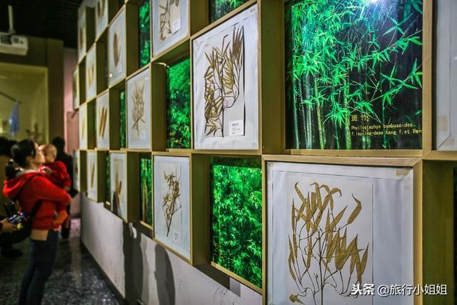 天目湖加南山竹海哪里泡温泉好,天目湖度假秘境享受绝美自然山水