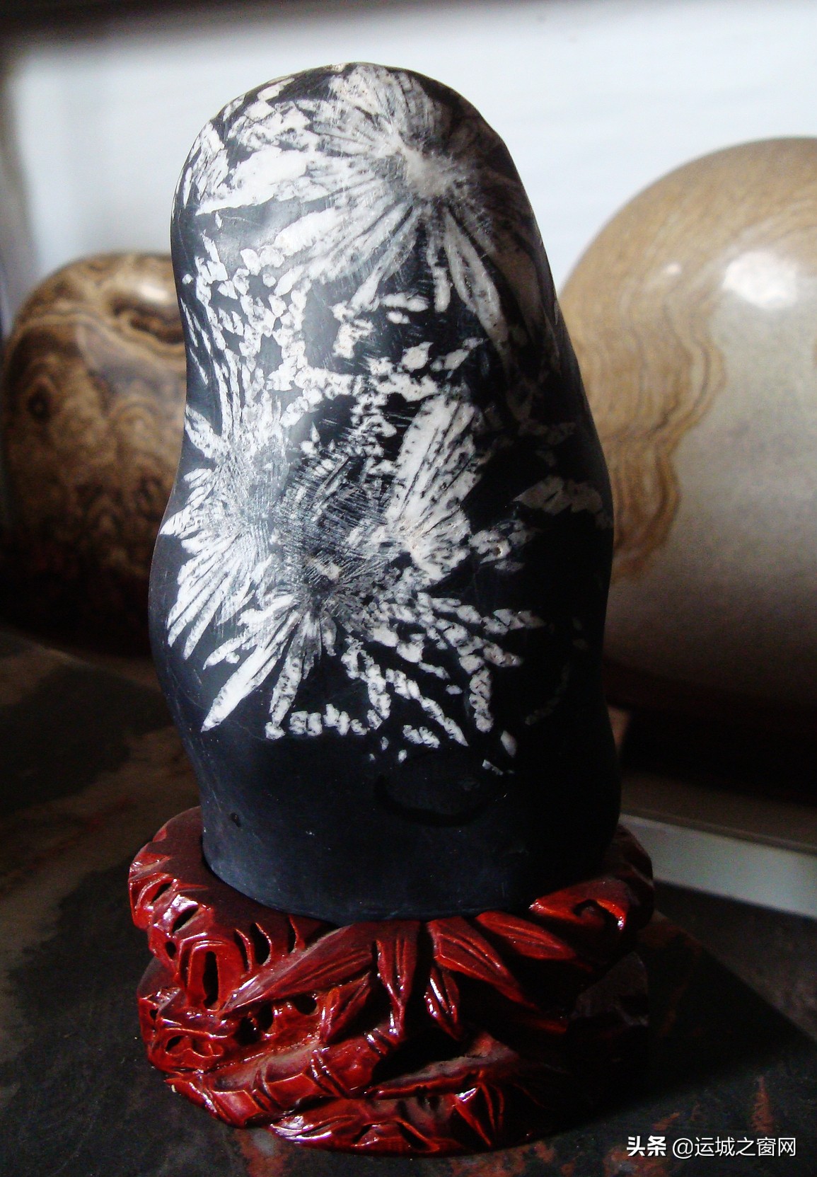 鍨ｆ洸榛勬渤鏂囧寲,鍨ｆ洸榛勬渤姘戞棌鏂囧寲