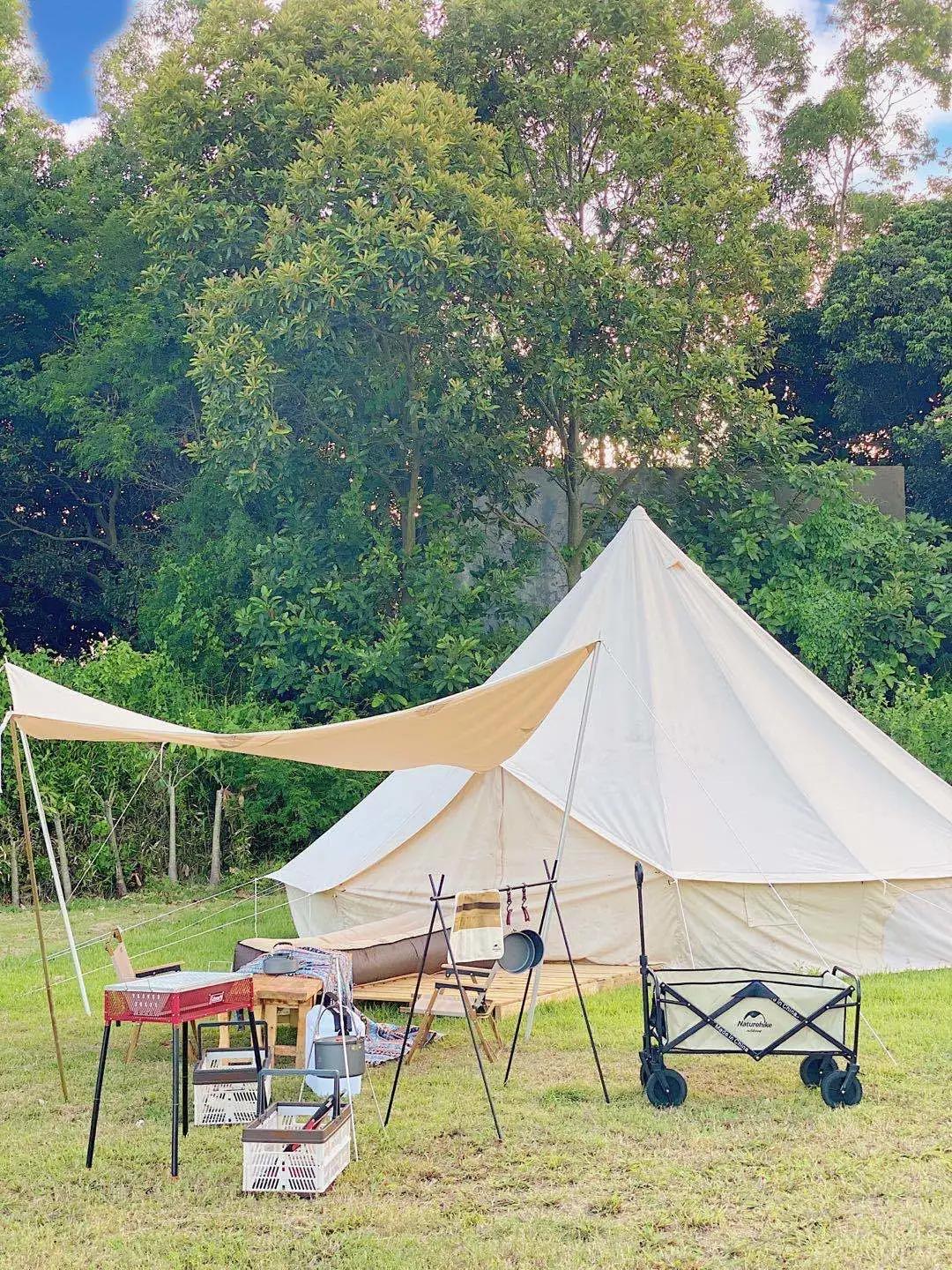 收藏!刷爆小红书的深圳济州岛绵羊牧场咖啡厅,256G都不够拍