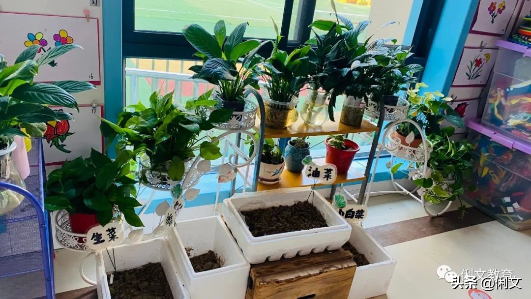 环境创设一年级,幼儿园梦想小学环境创设