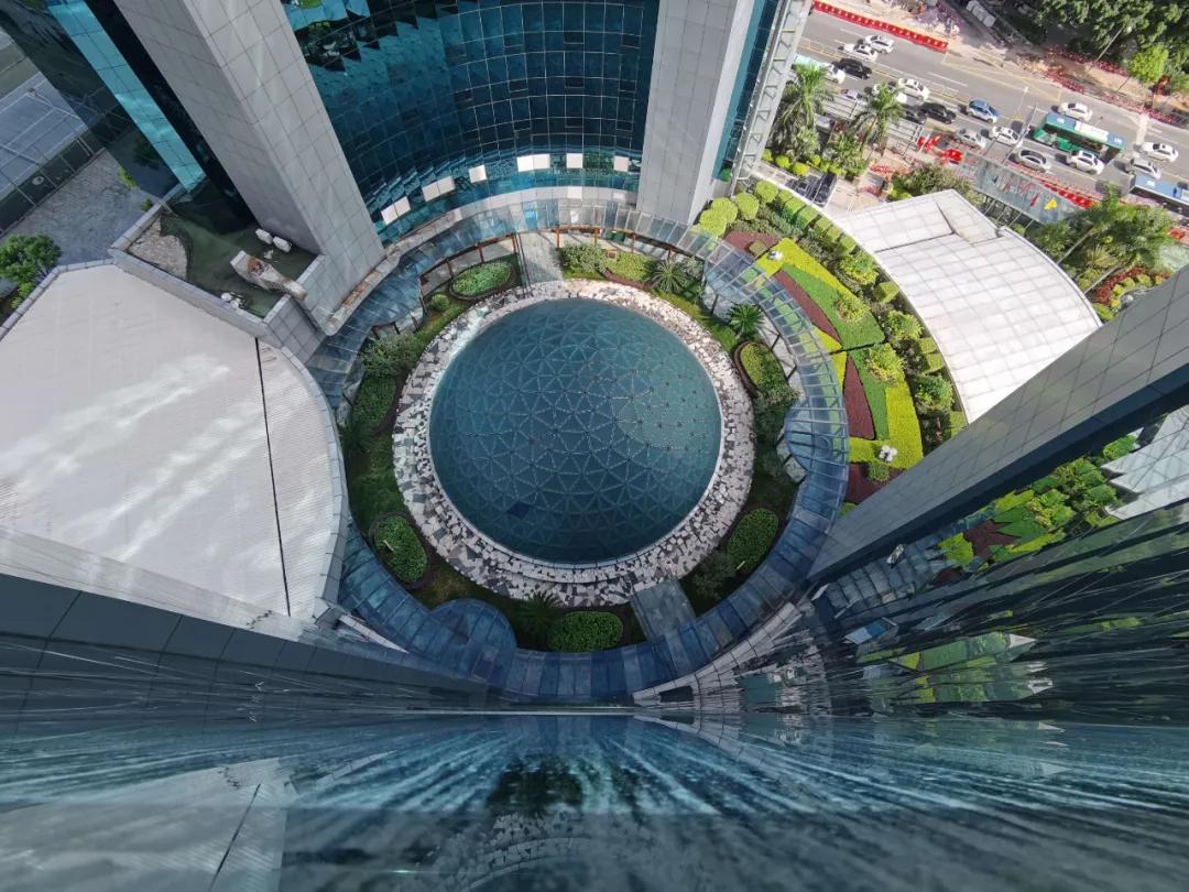 羊驼雅思免费给资料,羊驼雅思网课靠谱吗