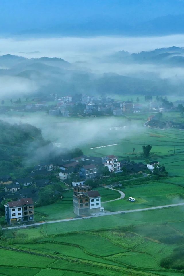 麻阳冰糖橙褚橙,正宗麻阳冰糖橙当季现摘鲜橙