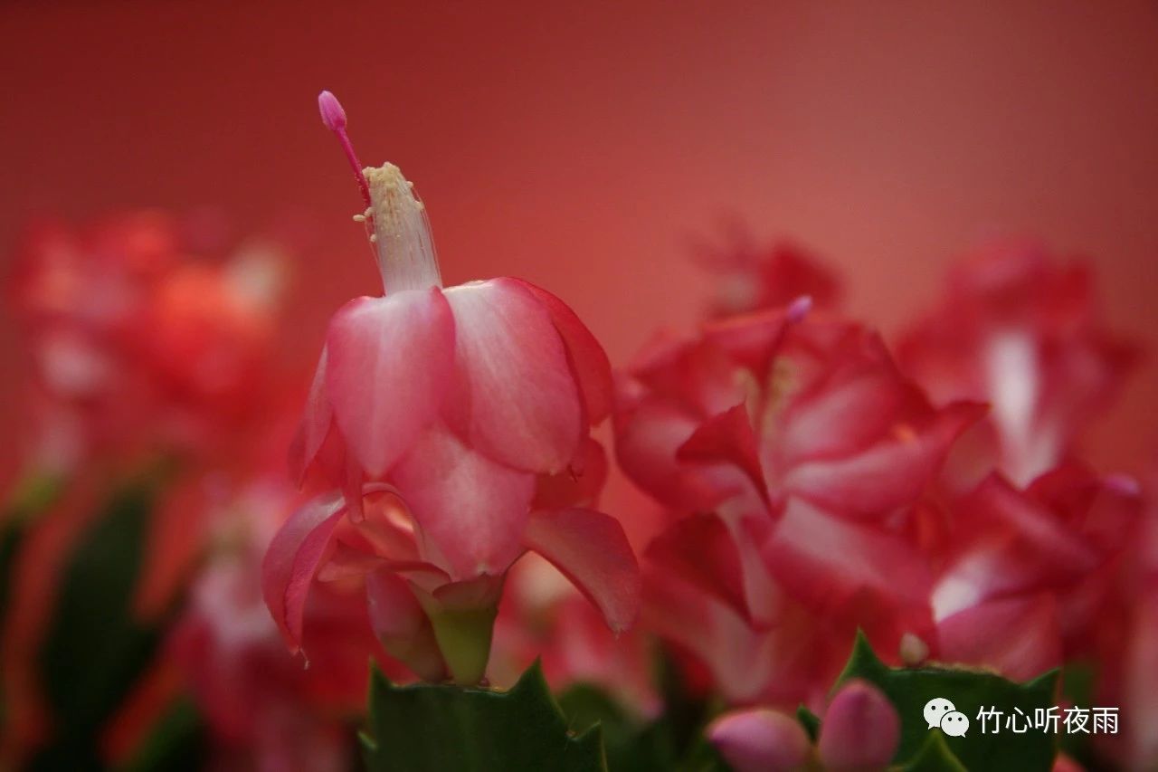 产后瘦身塑形,产后一定先不要急于塑形瘦身