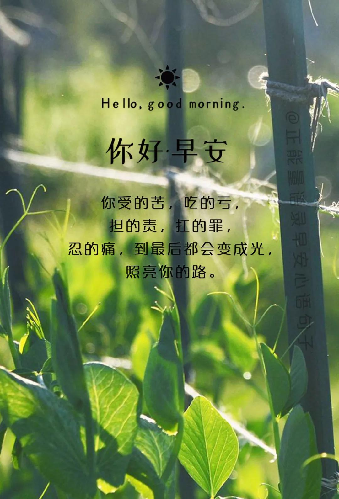 经典语录早安图片带字,早安语录心情图片带字