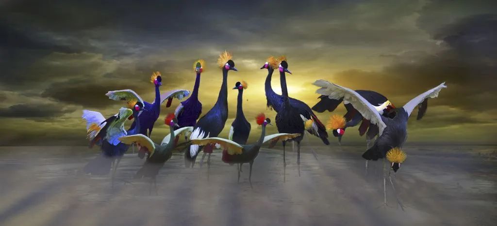 香港第14届全国摄影艺术展,第29届全国摄影艺术展览获奖名单