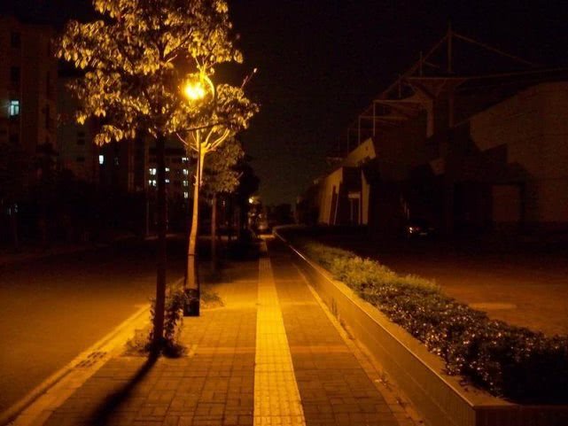 作家九先生:贼生茂（小小说）春花误（五首）‖宁古塔作家