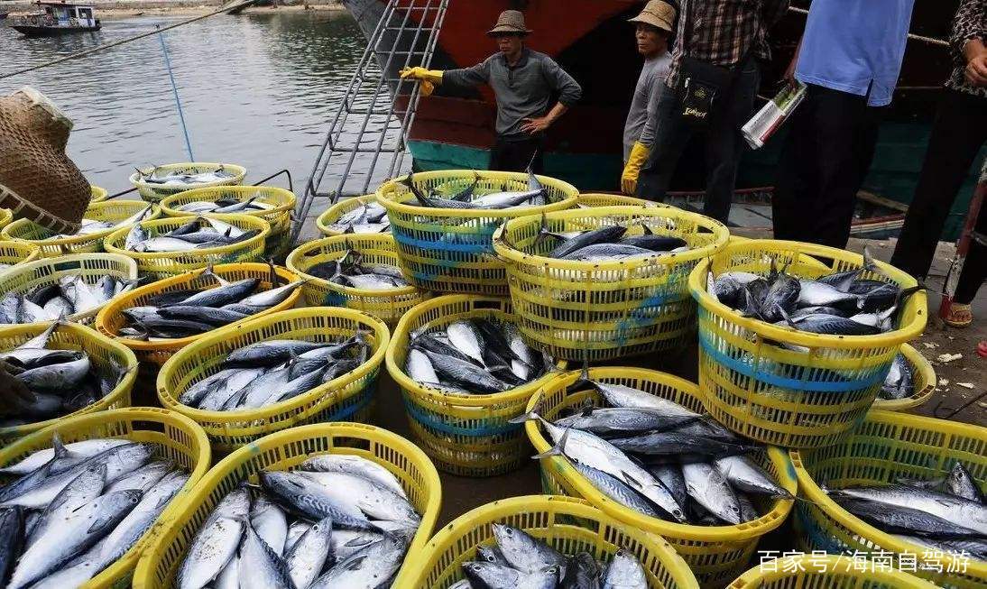 海南自驾游租车推荐,海南租车自驾线路