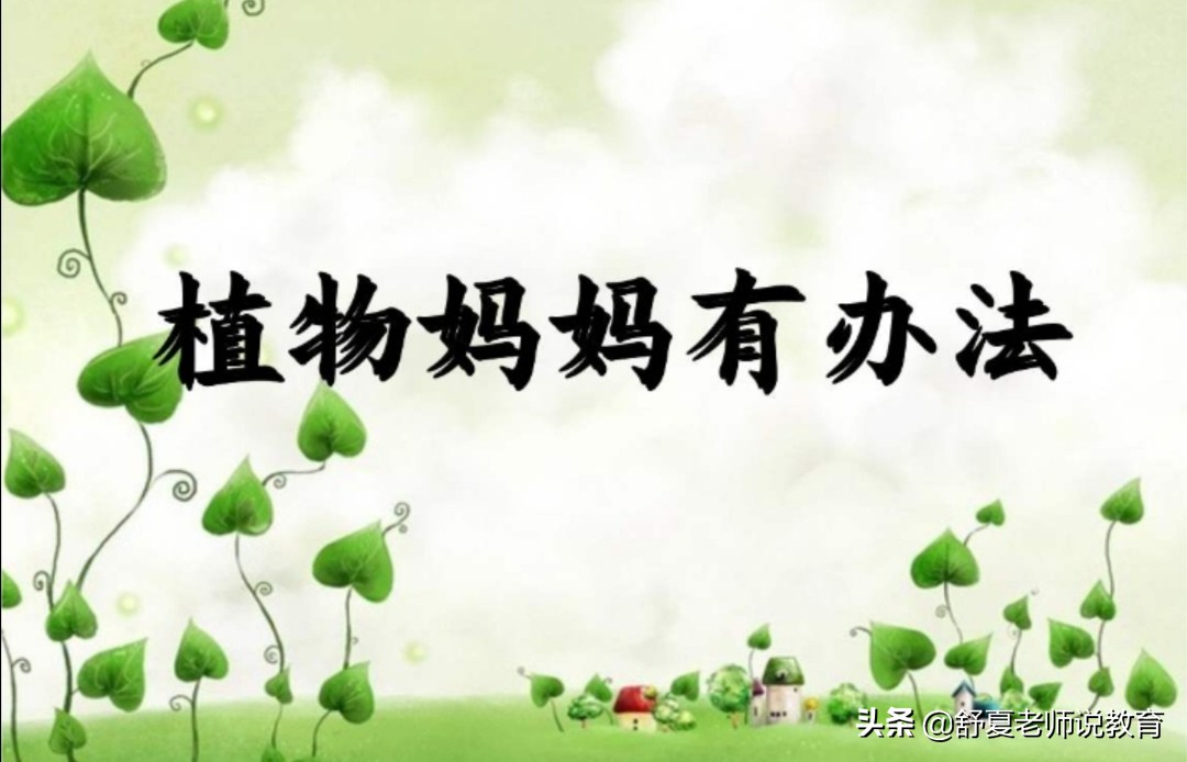 植物妈妈有办法二年级上册练习题,植物妈妈有办法二年级课文读后感