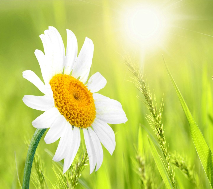 我爱你是个完整句子吗,我爱你三个字倒过来说