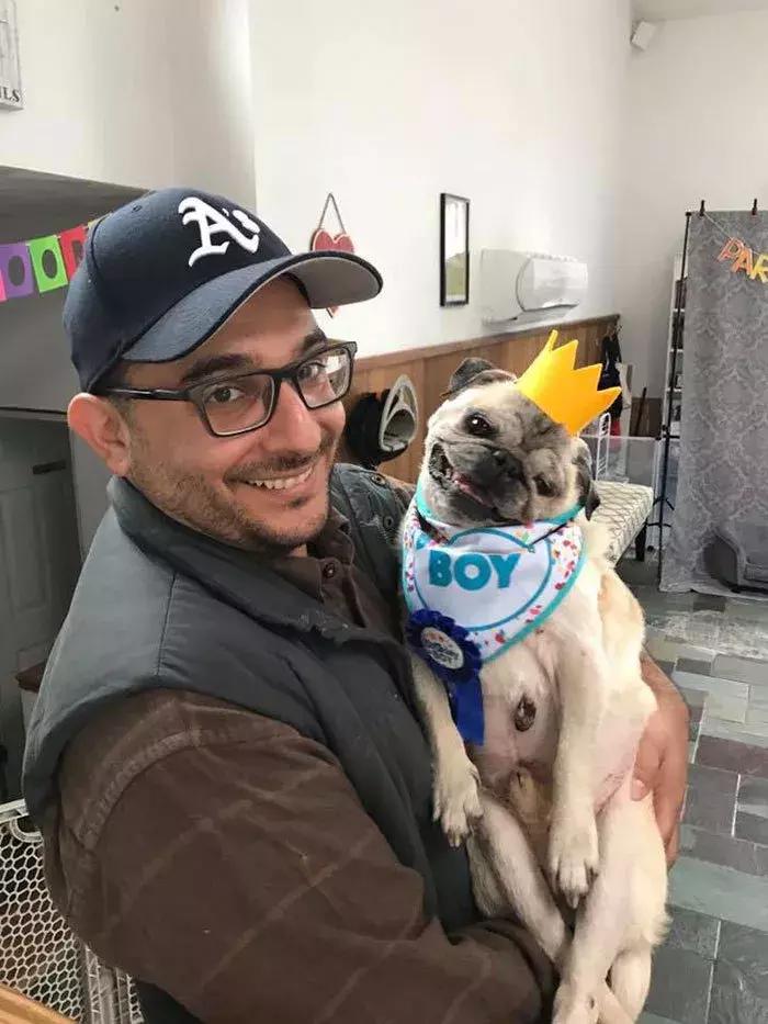 狗子太粘人咋整,家里狗子忽然很粘人