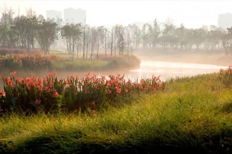 青白江十大健身地,青白江区体育锻炼的地方