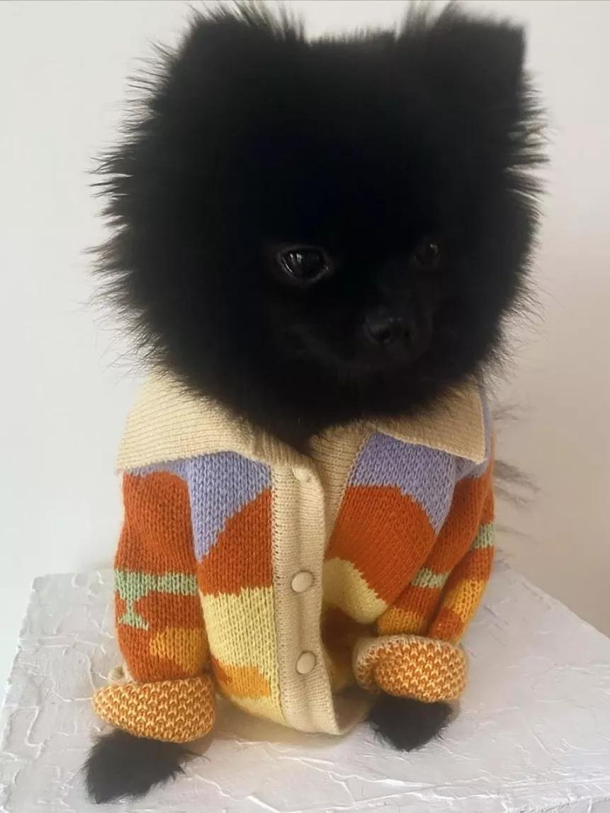 抄袭设计被揭穿,不输大牌的几个独立设计师品牌