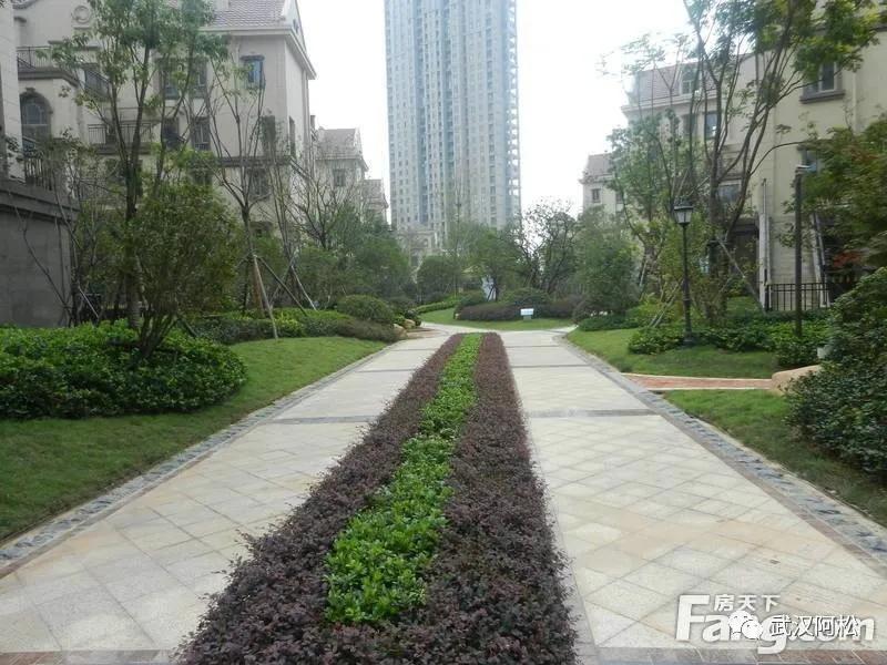 之前买的都笑开花了!光谷三环边77平两房!旁边有好学校!
