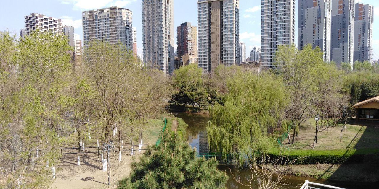 沈阳长白岛森林公园一日游攻略,长白岛森林公园五一