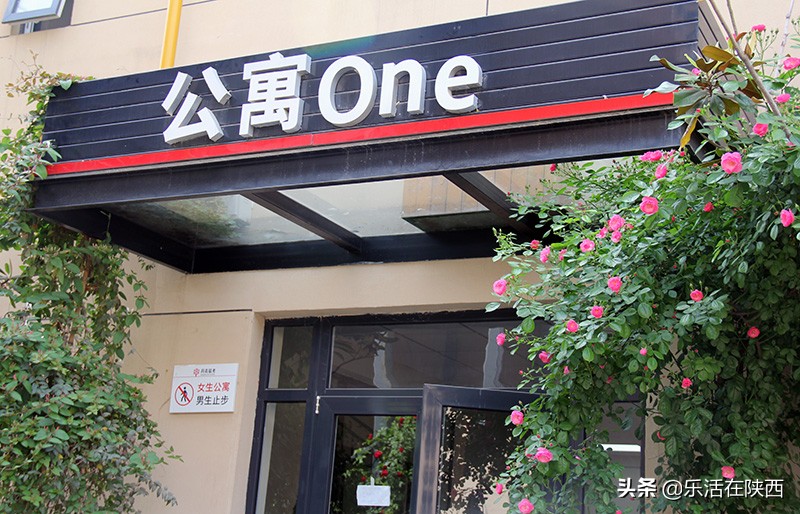 零基础美术生能逆袭上心仪的理想大学？西安丹青易考，了解一下