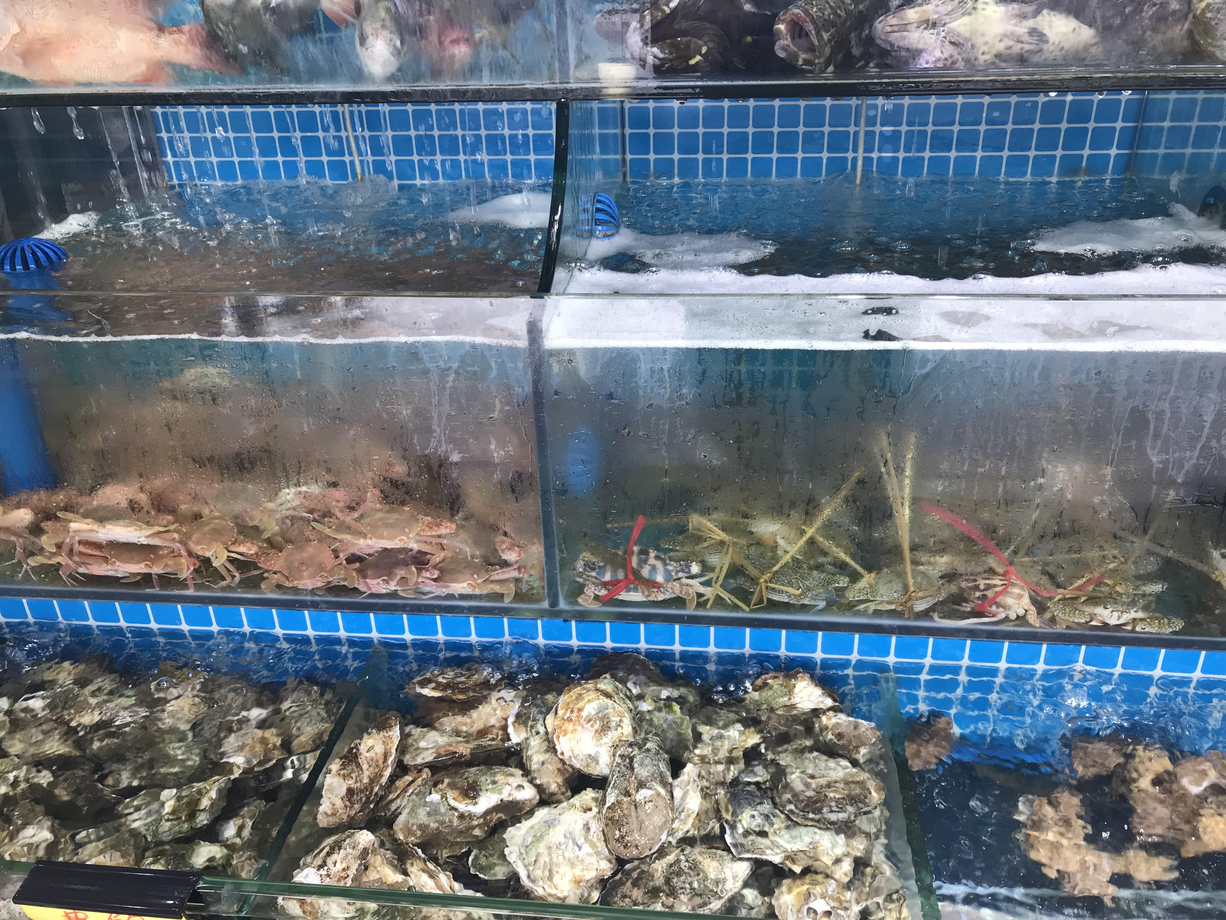 北海是一座美丽的海滨城市,北海是美丽的城市